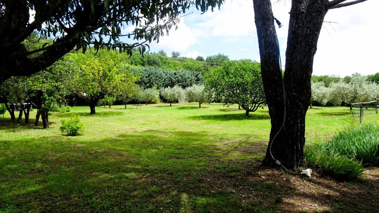 Bed and Breakfast La Bastide Des Roses Saint-Julien-d'Asse Екстер'єр фото