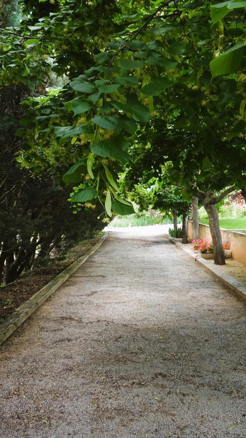 Bed and Breakfast La Bastide Des Roses Saint-Julien-d'Asse Екстер'єр фото