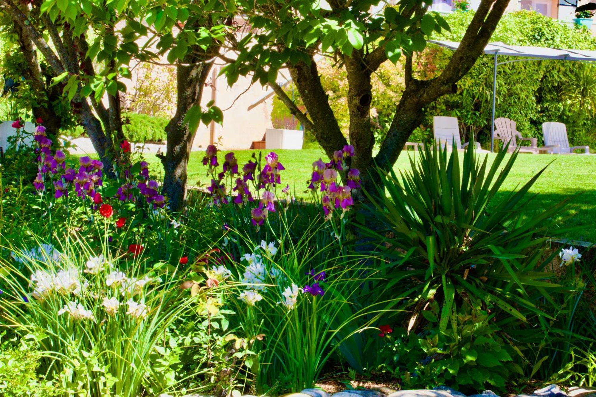 Bed and Breakfast La Bastide Des Roses Saint-Julien-d'Asse Екстер'єр фото