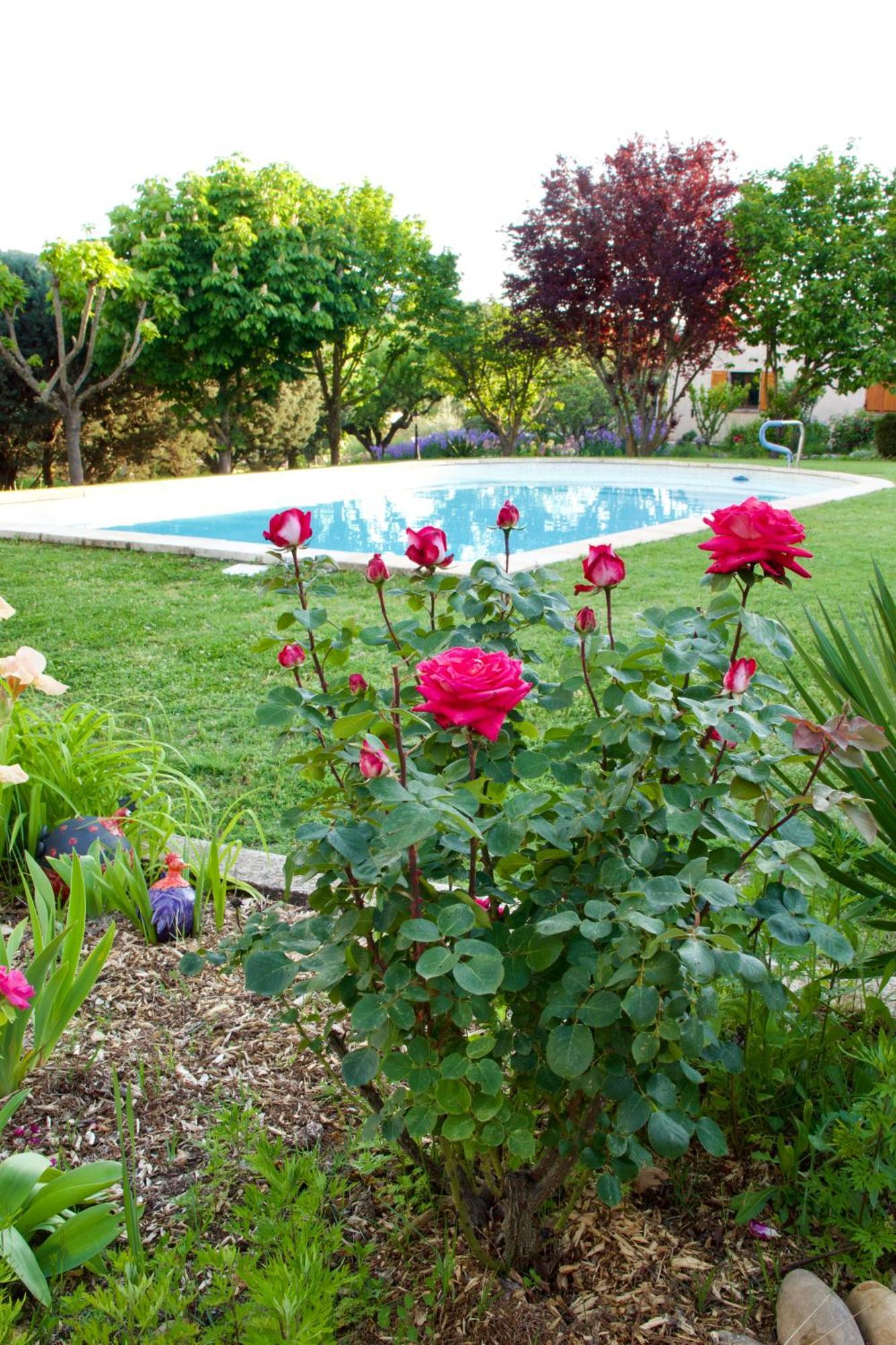 Bed and Breakfast La Bastide Des Roses Saint-Julien-d'Asse Екстер'єр фото