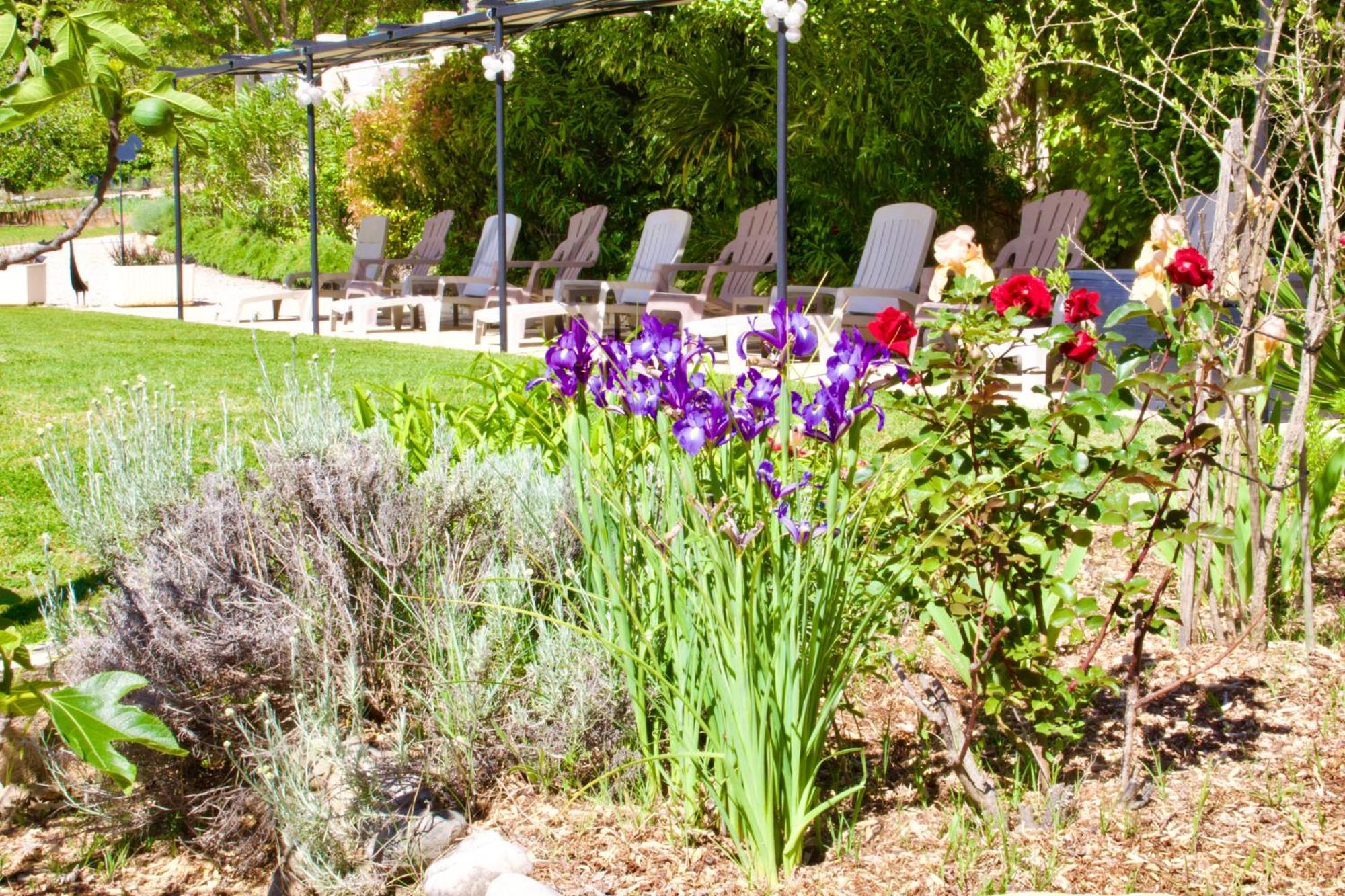 Bed and Breakfast La Bastide Des Roses Saint-Julien-d'Asse Екстер'єр фото