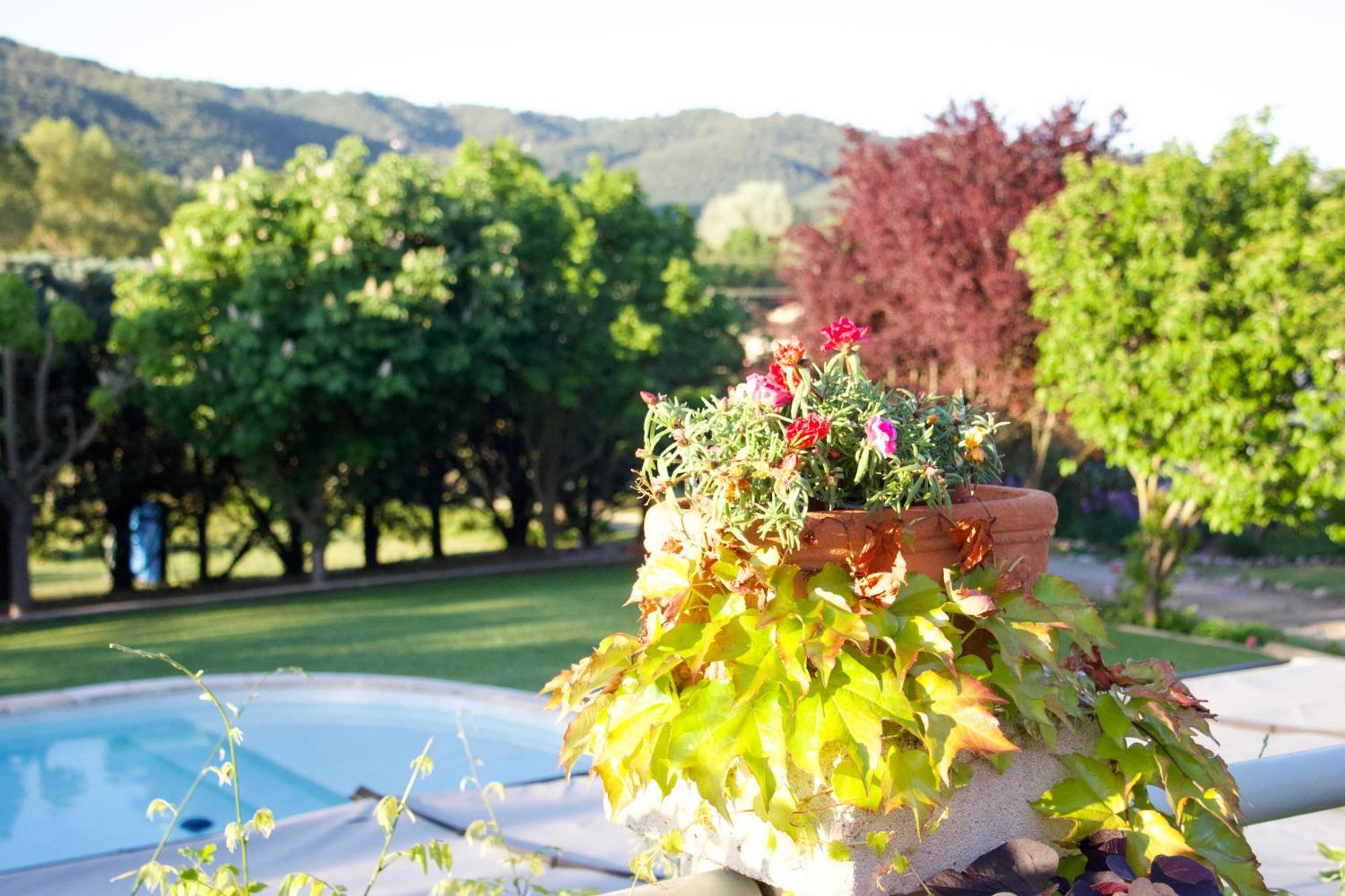 Bed and Breakfast La Bastide Des Roses Saint-Julien-d'Asse Екстер'єр фото