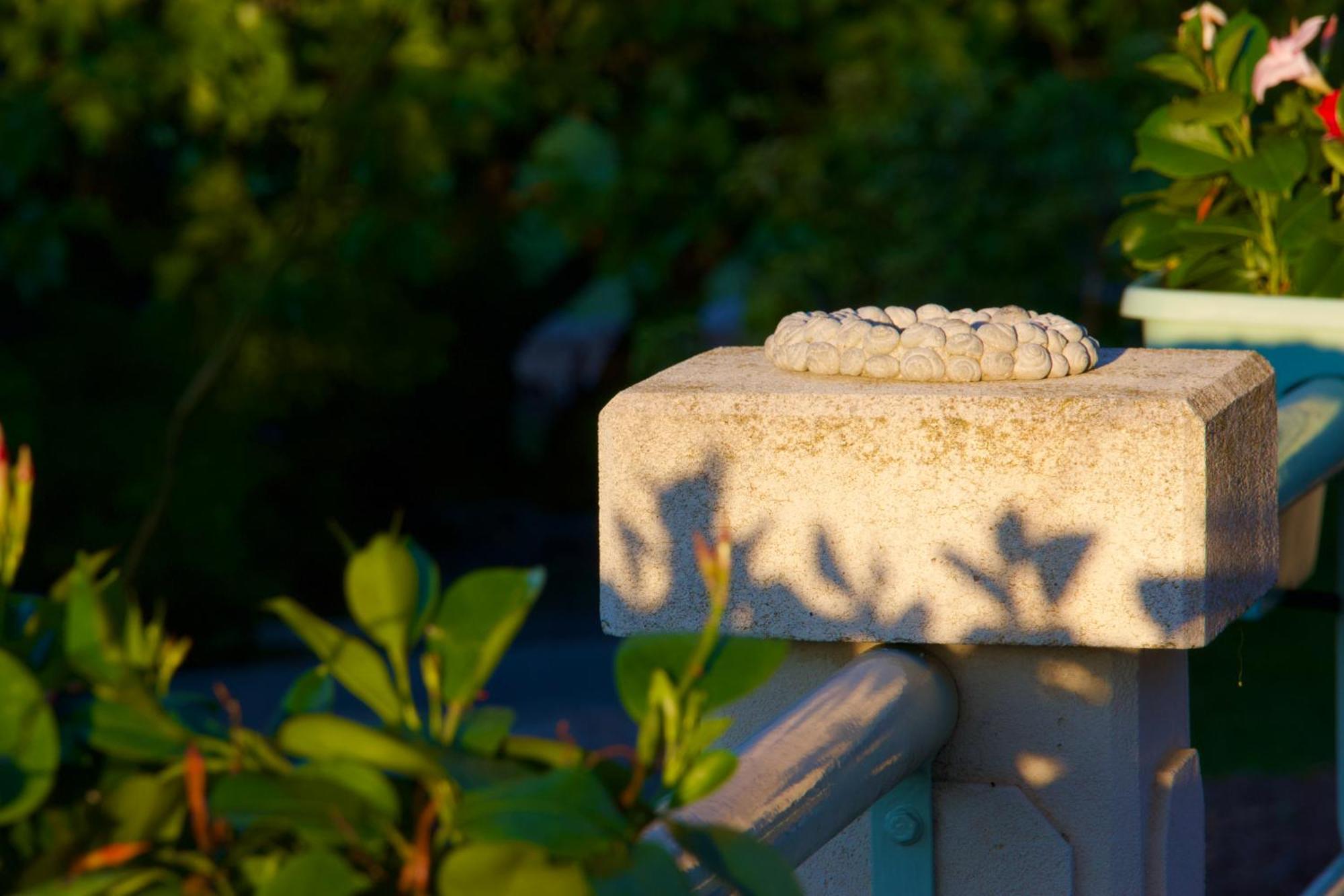Bed and Breakfast La Bastide Des Roses Saint-Julien-d'Asse Екстер'єр фото